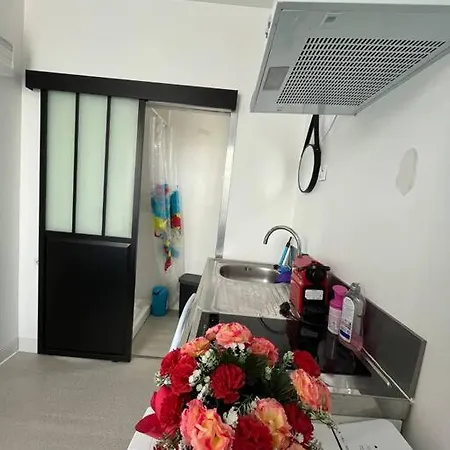 Maison De Complete Proche Paris Jo 16p Villa *